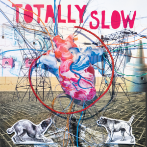 totally_20slow_20lp_20art_original